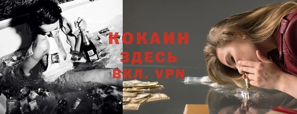 прущие грибы Алексеевка