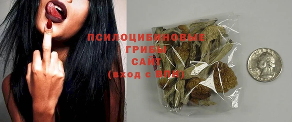 прущие грибы Алексеевка