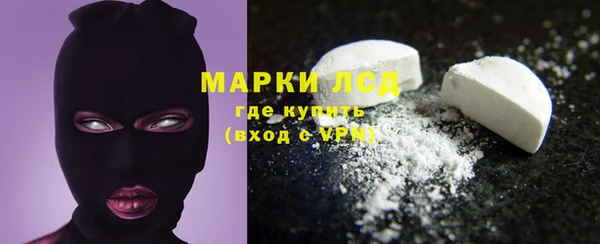 прущие грибы Алексеевка